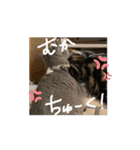 動くぱな（個別スタンプ：5）