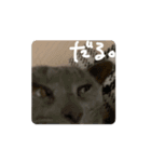 動くぱな（個別スタンプ：7）