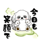 B＆W背景が動くシーズー犬「よく使う言葉」（個別スタンプ：2）