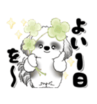 B＆W背景が動くシーズー犬「よく使う言葉」（個別スタンプ：3）