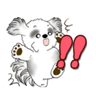B＆W背景が動くシーズー犬「よく使う言葉」（個別スタンプ：5）