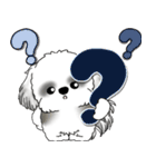 B＆W背景が動くシーズー犬「よく使う言葉」（個別スタンプ：6）