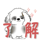 B＆W背景が動くシーズー犬「よく使う言葉」（個別スタンプ：7）