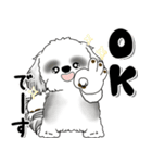 B＆W背景が動くシーズー犬「よく使う言葉」（個別スタンプ：8）