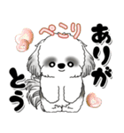 B＆W背景が動くシーズー犬「よく使う言葉」（個別スタンプ：9）