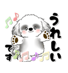 B＆W背景が動くシーズー犬「よく使う言葉」（個別スタンプ：15）