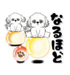 B＆W背景が動くシーズー犬「よく使う言葉」（個別スタンプ：17）
