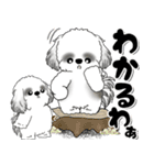 B＆W背景が動くシーズー犬「よく使う言葉」（個別スタンプ：18）