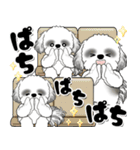 B＆W背景が動くシーズー犬「よく使う言葉」（個別スタンプ：19）