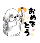 B＆W背景が動くシーズー犬「よく使う言葉」（個別スタンプ：22）
