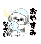 B＆W背景が動くシーズー犬「よく使う言葉」（個別スタンプ：24）