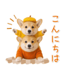 大人かわいい秋の癒しコーギー（個別スタンプ：5）