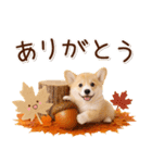 大人かわいい秋の癒しコーギー（個別スタンプ：7）