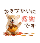 大人かわいい秋の癒しコーギー（個別スタンプ：15）