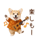 大人かわいい秋の癒しコーギー（個別スタンプ：19）