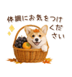 大人かわいい秋の癒しコーギー（個別スタンプ：26）