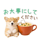 大人かわいい秋の癒しコーギー（個別スタンプ：28）