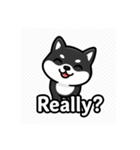 可愛い黒柴ちゃんスタンプ（個別スタンプ：11）