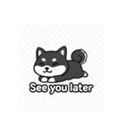 可愛い黒柴ちゃんスタンプ（個別スタンプ：12）