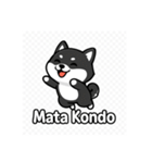 可愛い黒柴ちゃんスタンプ（個別スタンプ：13）