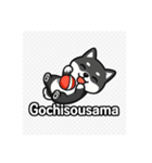 可愛い黒柴ちゃんスタンプ（個別スタンプ：14）