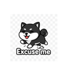 可愛い黒柴ちゃんスタンプ（個別スタンプ：16）