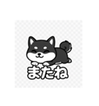 可愛い黒柴ちゃんスタンプ（個別スタンプ：19）