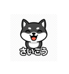 可愛い黒柴ちゃんスタンプ（個別スタンプ：22）