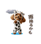 牛化したトイプードル（個別スタンプ：13）