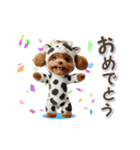牛化したトイプードル（個別スタンプ：19）