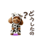 牛化したトイプードル（個別スタンプ：20）