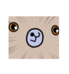 ぼく、くまたん！②（個別スタンプ：12）