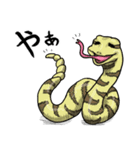 UWABAMI 〜いろんな蛇たち〜（個別スタンプ：17）