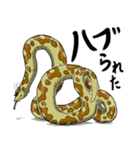 UWABAMI 〜いろんな蛇たち〜（個別スタンプ：30）