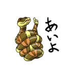 UWABAMI 〜いろんな蛇たち〜（個別スタンプ：33）
