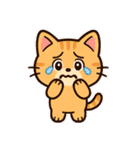 【 相談 応援 癒しのスタンプです ネコ 】（個別スタンプ：8）