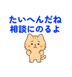 【 相談 応援 癒しのスタンプです ネコ 】（個別スタンプ：9）
