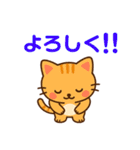 【 相談 応援 癒しのスタンプです ネコ 】（個別スタンプ：11）