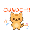 【 相談 応援 癒しのスタンプです ネコ 】（個別スタンプ：12）