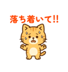 【 相談 応援 癒しのスタンプです ネコ 】（個別スタンプ：21）