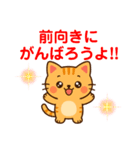 【 相談 応援 癒しのスタンプです ネコ 】（個別スタンプ：26）