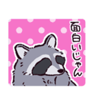 アライグマです（個別スタンプ：6）
