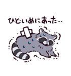 アライグマです（個別スタンプ：11）