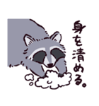 アライグマです（個別スタンプ：12）