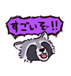 アライグマです（個別スタンプ：13）