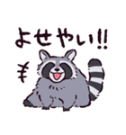アライグマです（個別スタンプ：16）