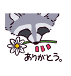 アライグマです（個別スタンプ：18）