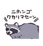 アライグマです（個別スタンプ：24）