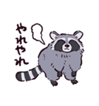 アライグマです（個別スタンプ：26）