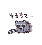 アライグマです（個別スタンプ：29）